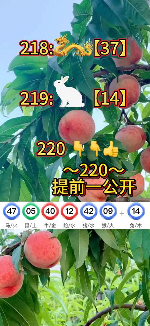 2025新澳门历史开奖查询和科学家发现超级地球与科学家发现超级地球K2-360b