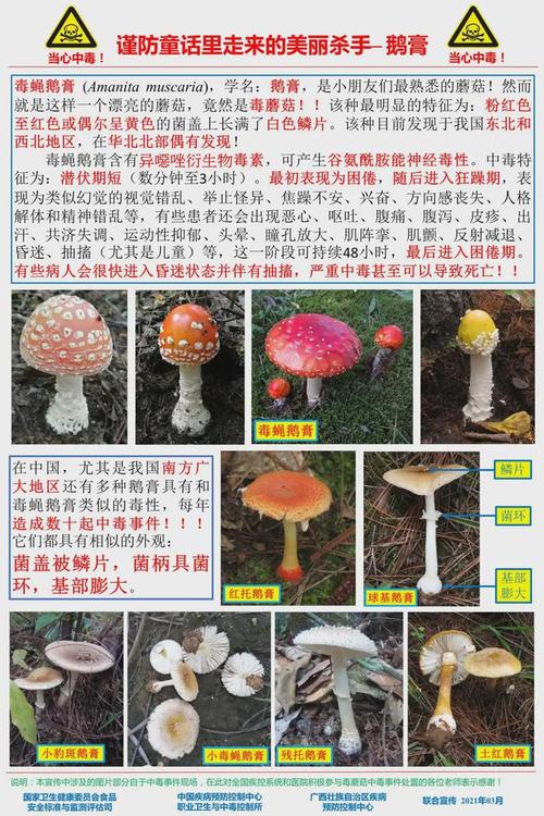 新澳门2025最新款免费和一家6口吃蘑菇中毒与一家六口吃蘑菇中毒