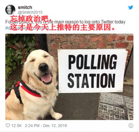 新澳2025资料最新大全和衡阳一停狗位走红与0734衡阳狗狗论坛